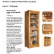 Adorini cabinet for cigars Rome mahogany 605 x 1750 x 450 mm