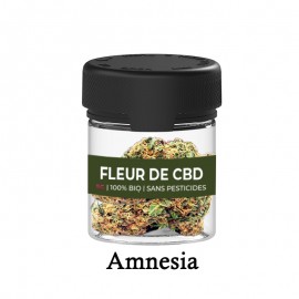 Flower CBD 5g Amnesia - Pango