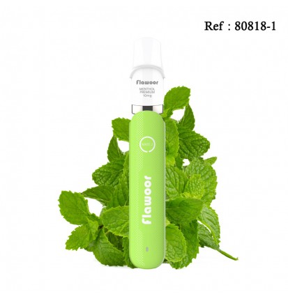 Kit Puff Flawoor Mate 2 rechargeable - Menthol premium 10mg/mL