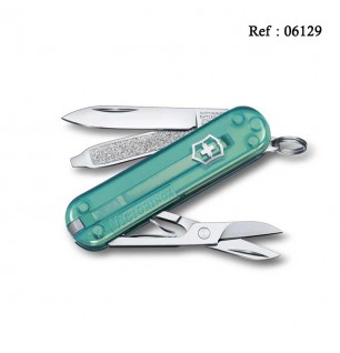 victorinox classic clear green