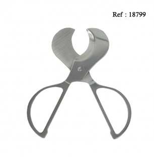 Cigar Scissor Silver in display of 24 pcs